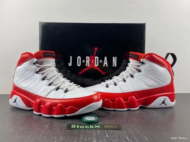 Kick Theory Air 9 Gym Retro White Red Jordan 302370-160 0621